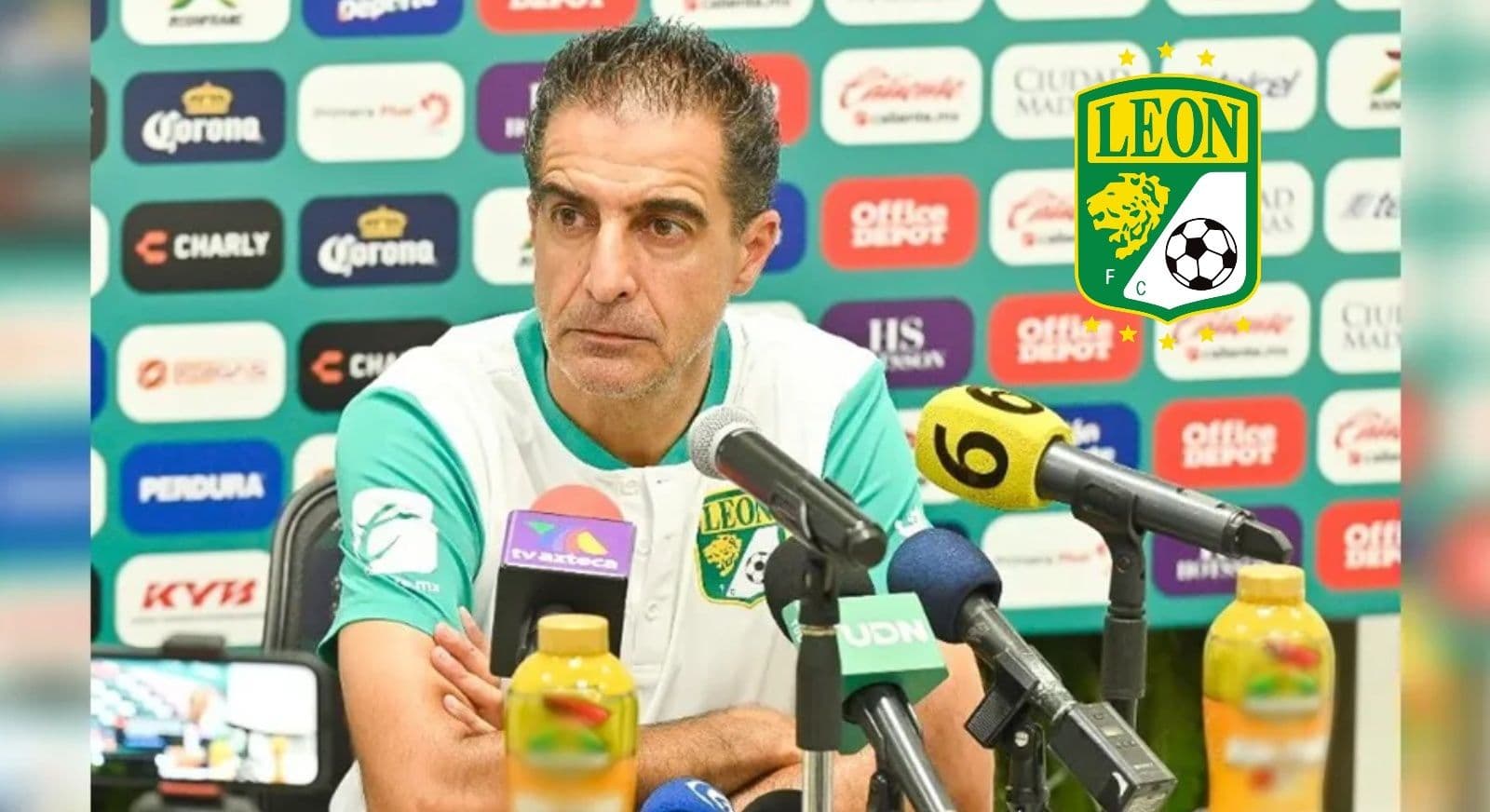 León no camina y se aleja de la cima