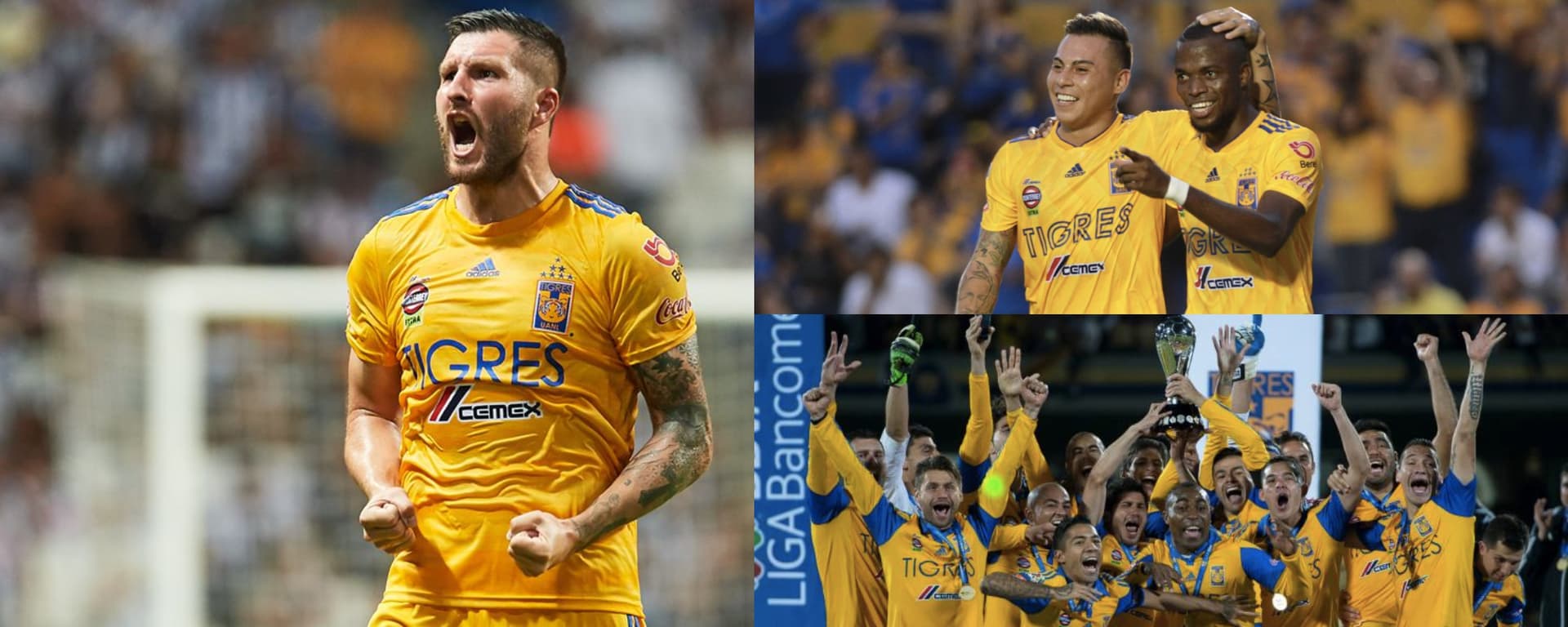 Los aficionados felinos extrañan a un jugador que regresaría inmediatamente a Tigres.