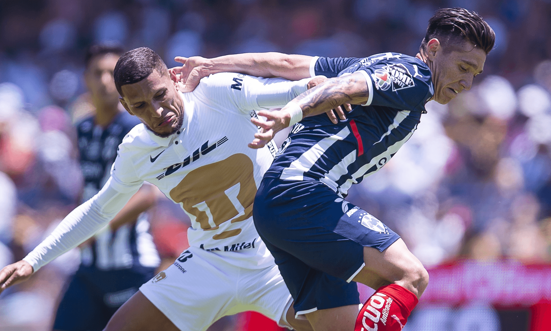 Los del norte enfrentarán su tercer partido amistoso, mientras que los Pumas vienen de ganar su último juego