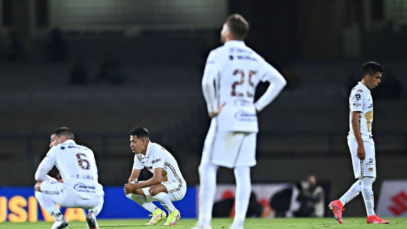 Los felinos buscarán revancha.