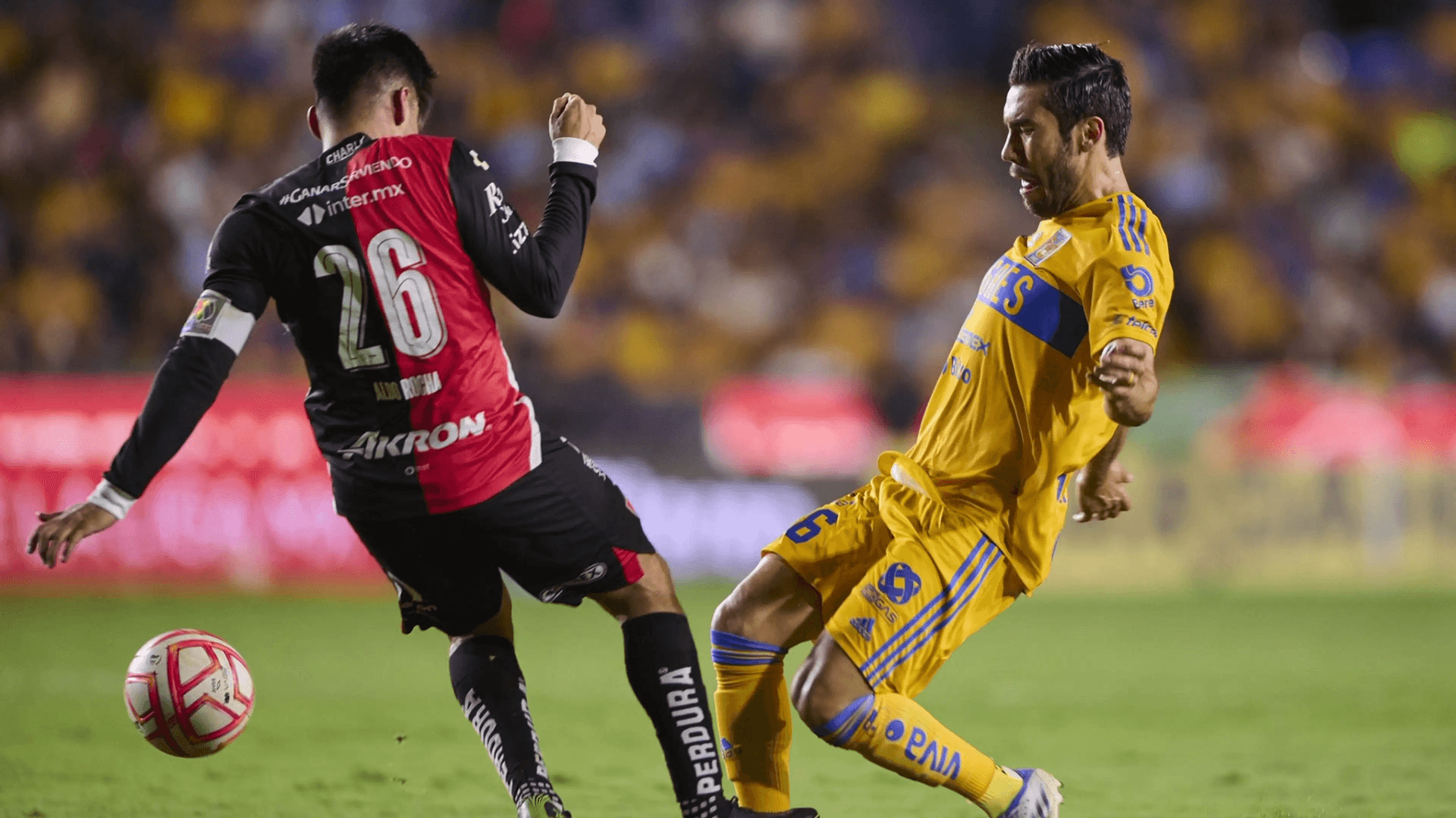 Los felinos recibirán a los Rojinegros en un encuentro que pinta interesante