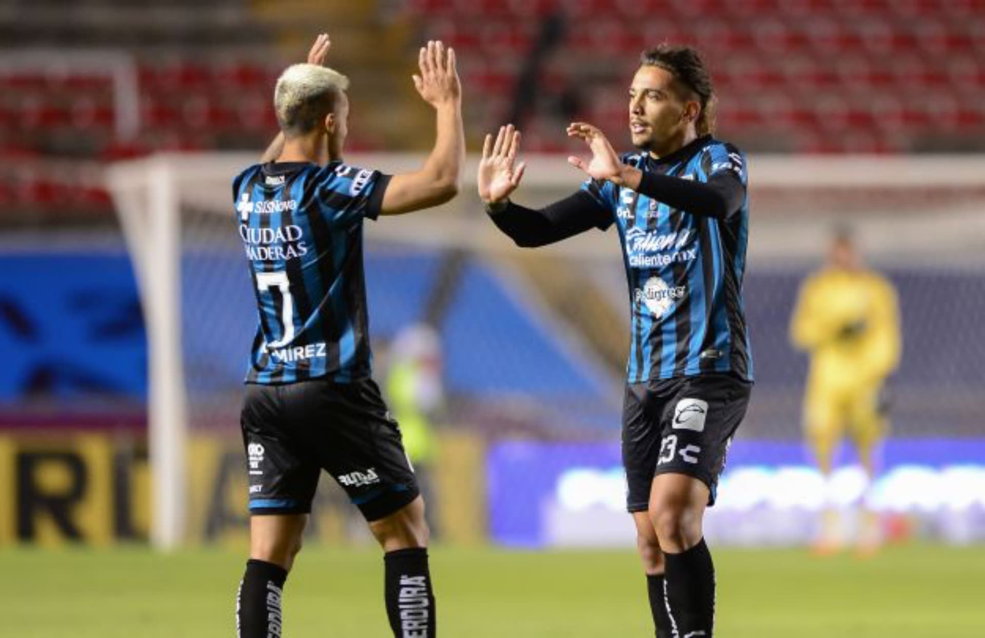 Los gallos blancos cuentan con un arma secreta para poder vencer a loa rojinegros
