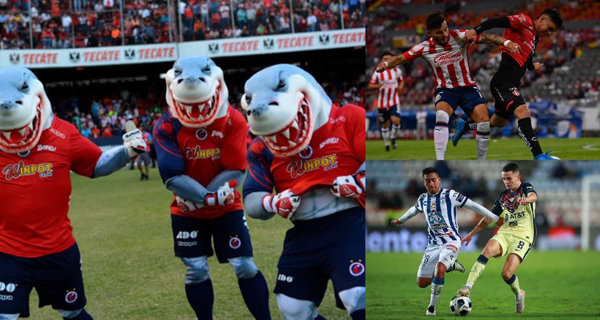 Los Tiburones de Veracruz pueden volver a la Liga MX y de manera sorpresiva esto podría desencadenar en la venta de un equipo, que terminaría por salir de la institución.