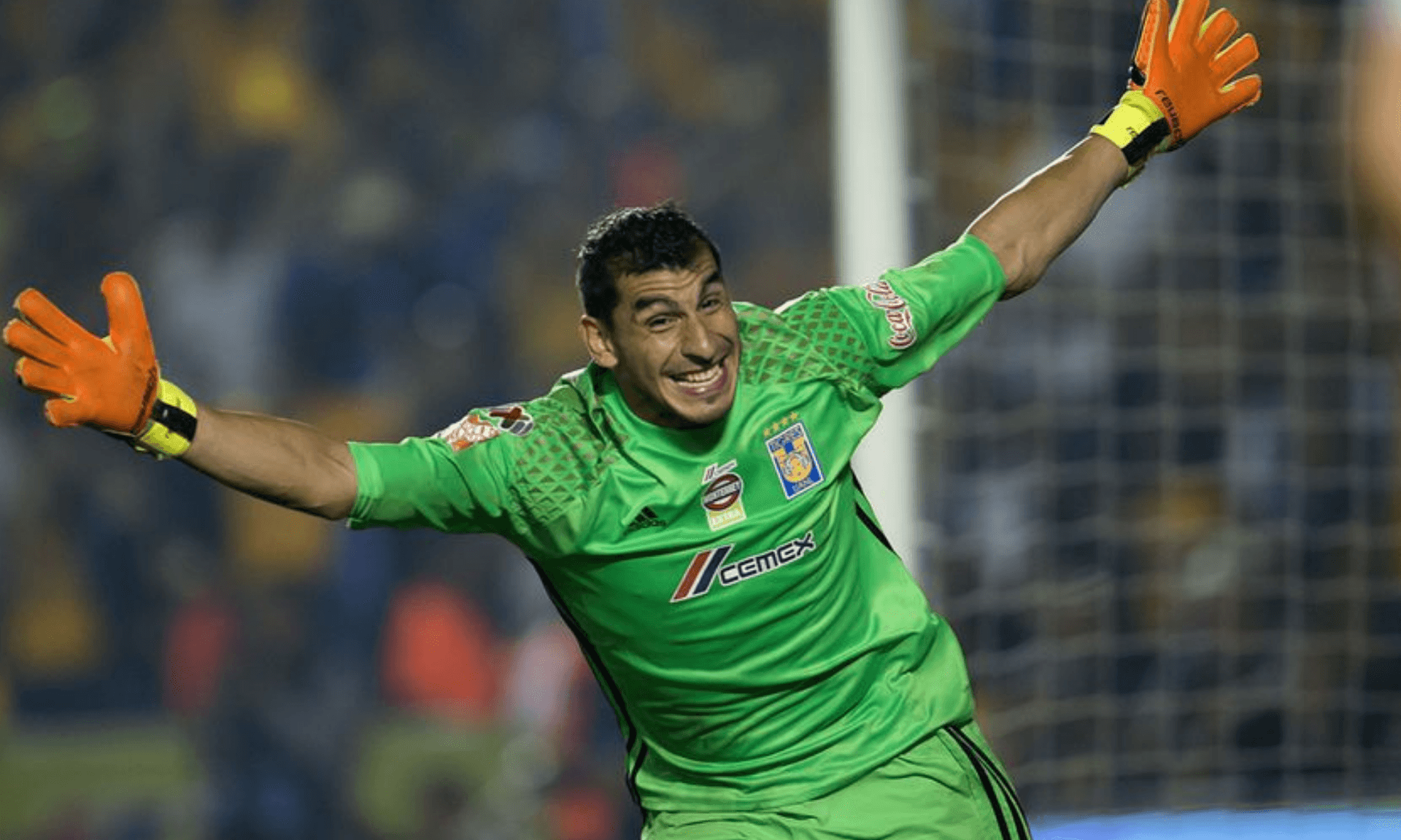 Los Tigres de la UANL han tenido buenos porteros, los cuales se han mantenido algunos por muchos años, reafirmando su calidad como jugadores