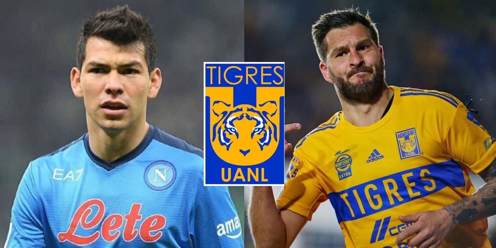 Los Tigres quieren romper el mercado de fichajes y buscarán contratar a Hirving Lozano; le ofrecen más que a Gignac