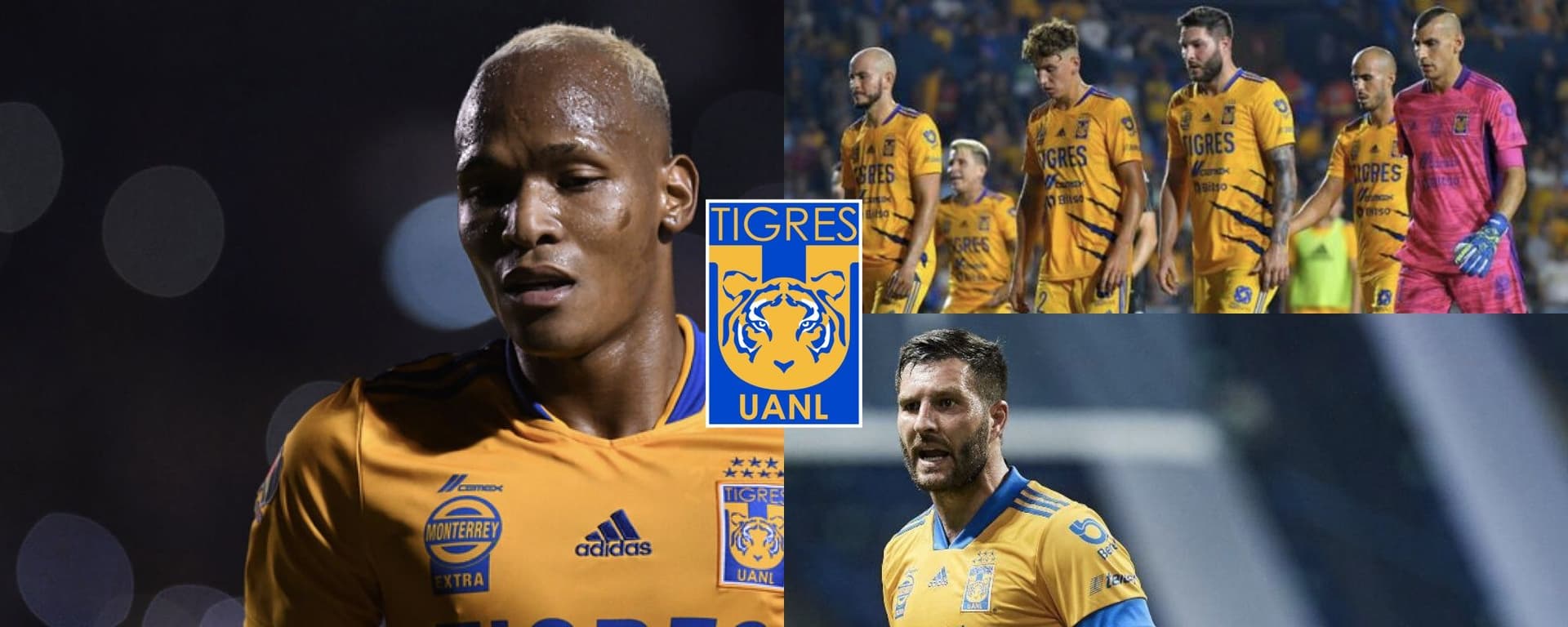 Luis Quiñones estaría fuera de Tigres, solo un jugador lo va a extrañar y no es precisamente André-Pierre Gignac.