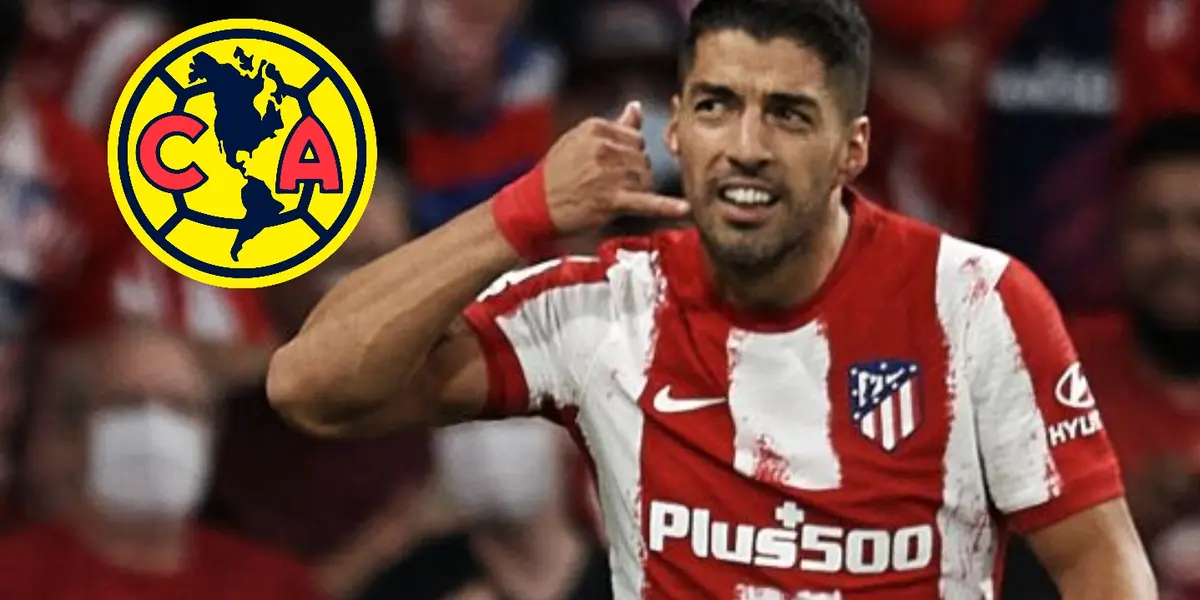 Luis Suárez deja el Atlético de Madrid y busca ofertas ¿América puede ir por él?