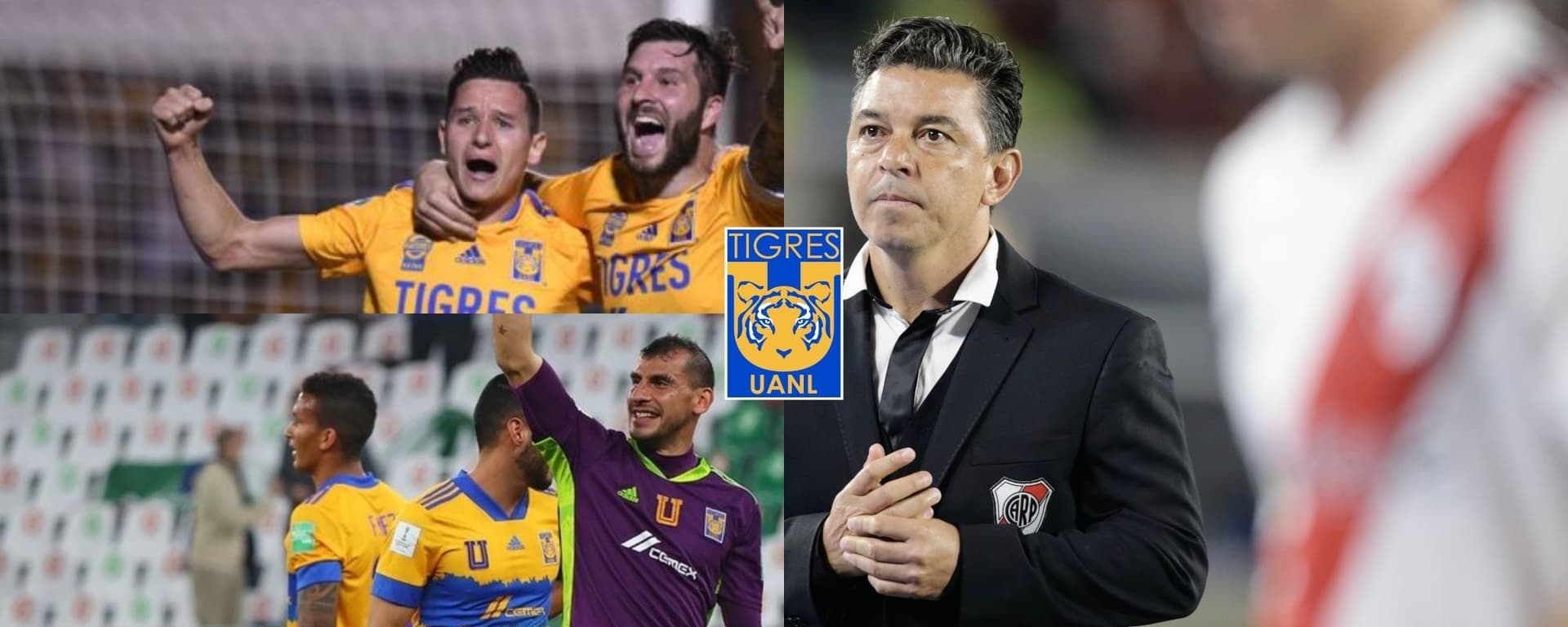 Marcelo Gallardo sale de River Plate y además de Miguel Herrera, destapan al que saldría Tigres para que llegue a la Liga MX.