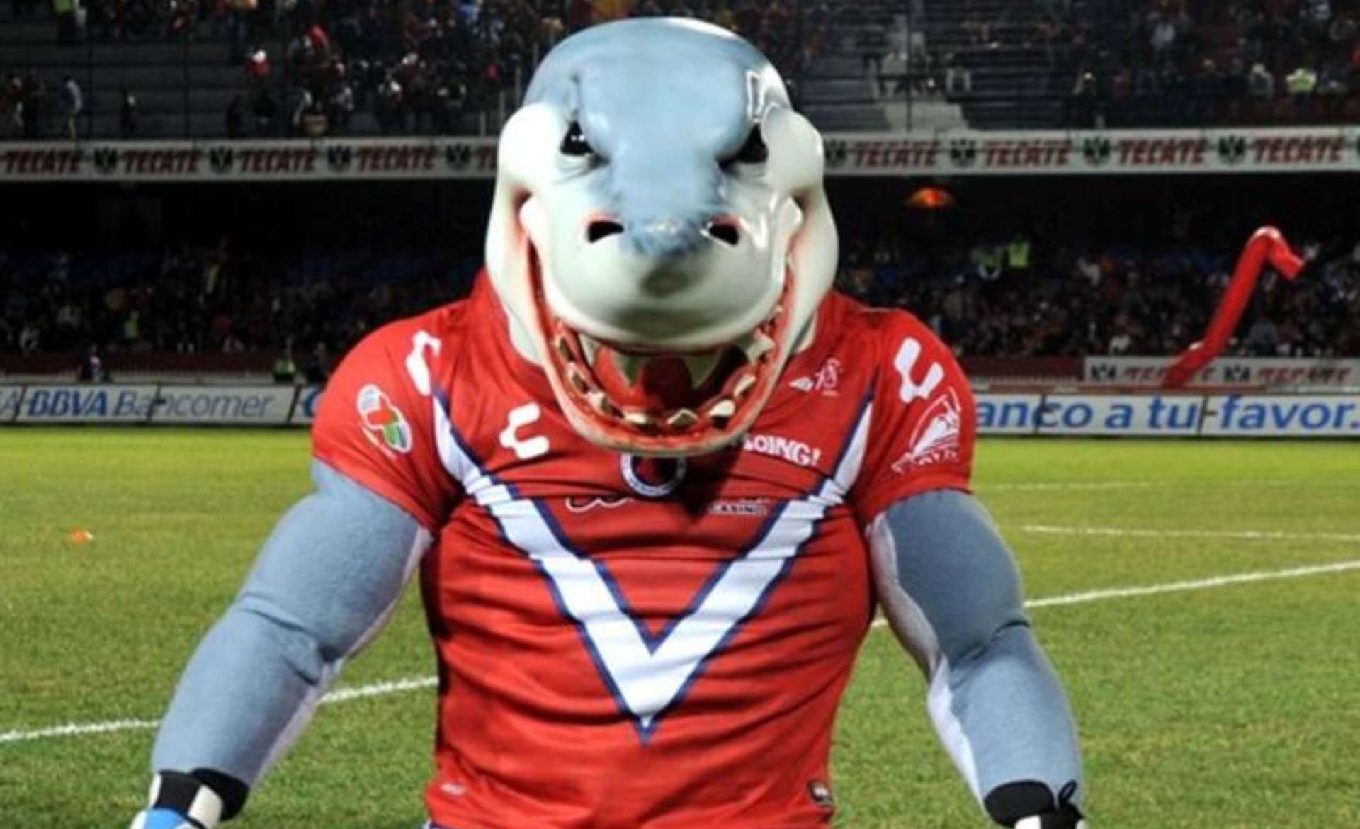 Mascota del Tibu en un estadio (Fuente: Mexsports)