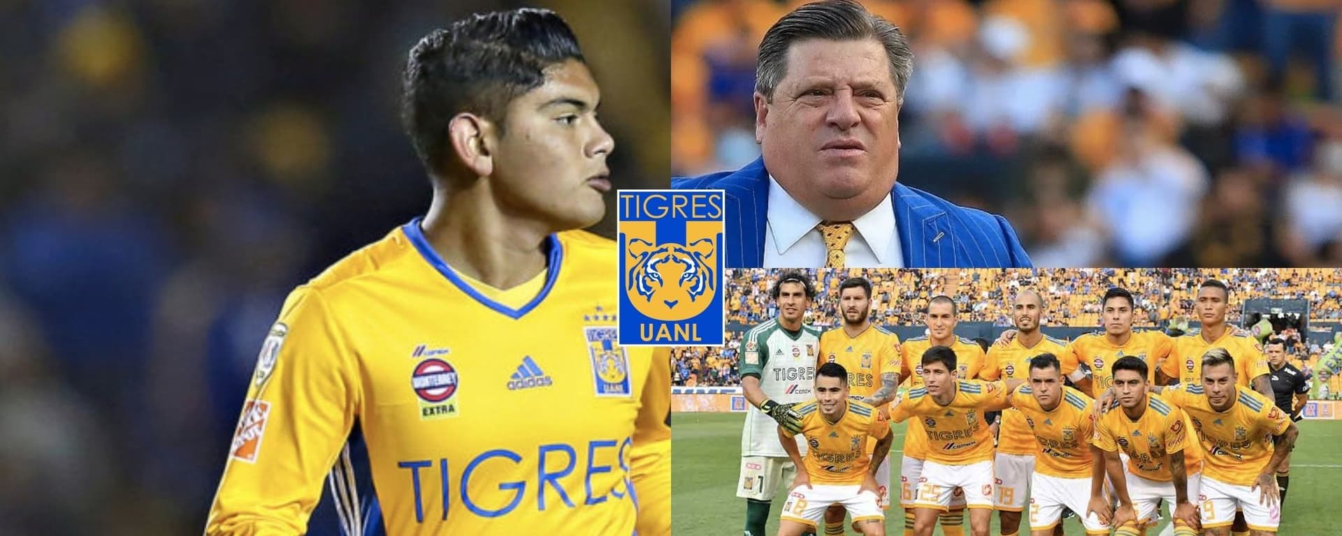 Miguel Herrera no lo consideró en Tigres y ahora está desempleado.