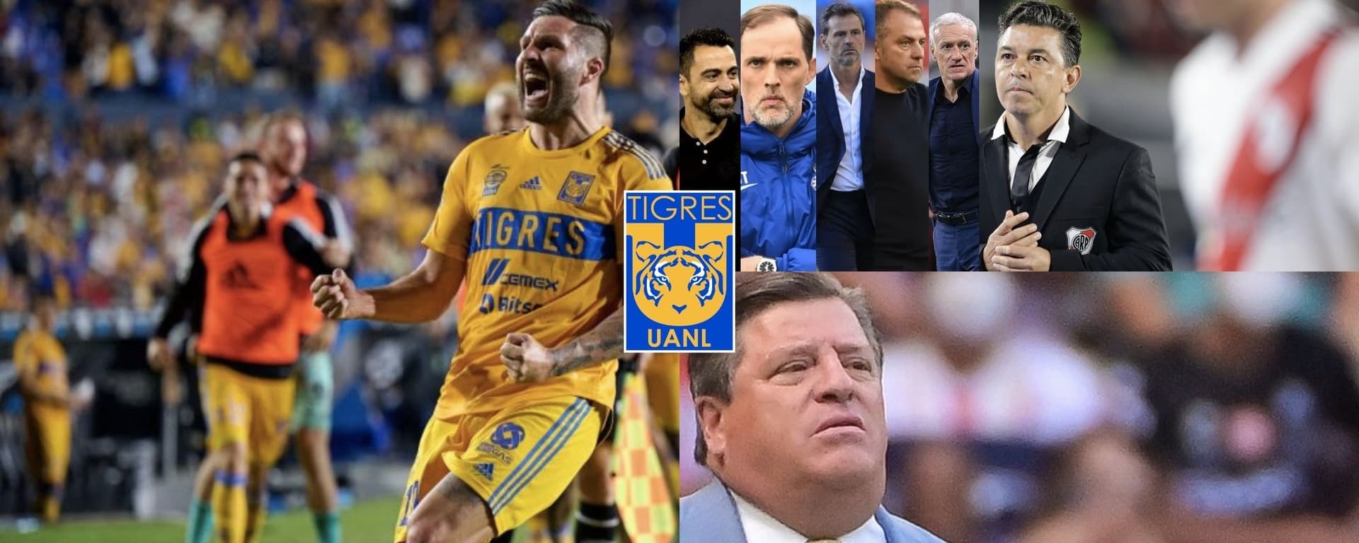 Miguel Herrera se tambalea en Tigres y el DT que quiere Gignac cobra casi lo mismo que él.