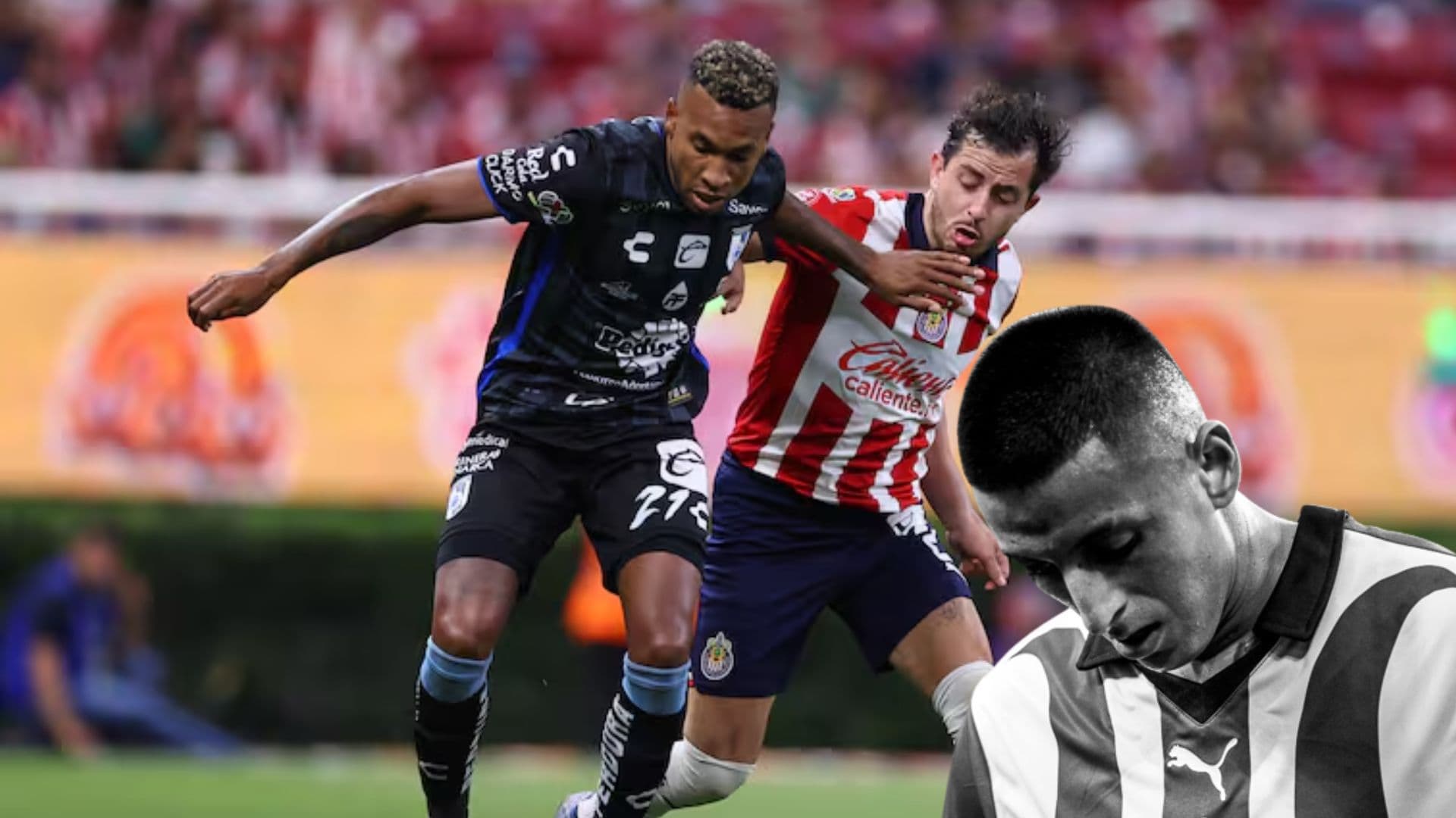 Mozo vs Gallo y Piojo preocupado
