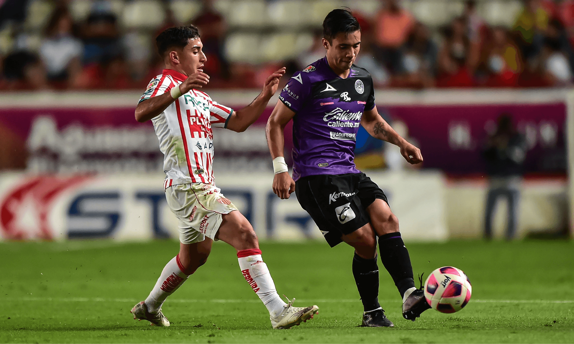 Necaxa luce como amplio favorito en las casas de apuestas para vencer a Mazatlán