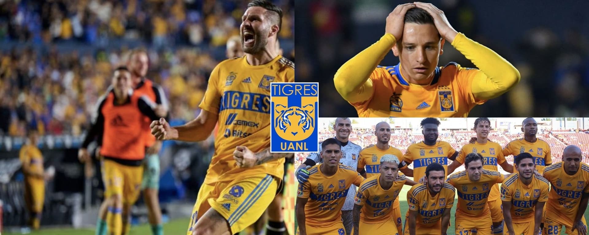 Ninguno tuvo títulos en Tigres y se van de regreso a Europa gracias a André-Pierre Gignac.