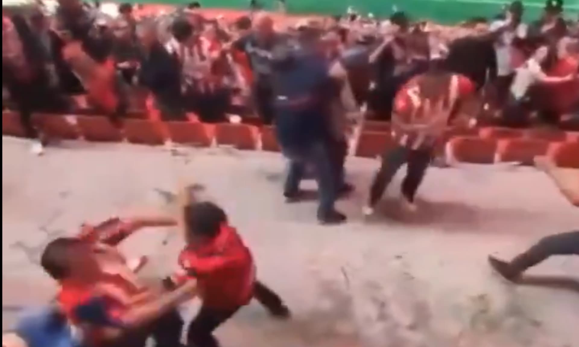 Pela de los aficionados de Xolos y de Chivas (Fuente: Berenice Díaz)