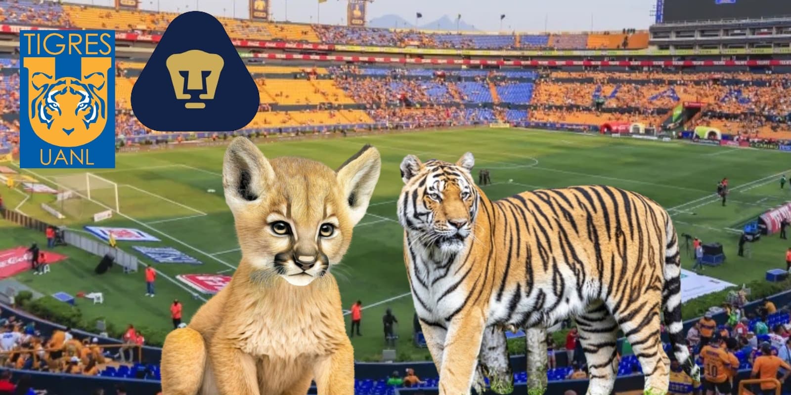 Pumas y Tigres