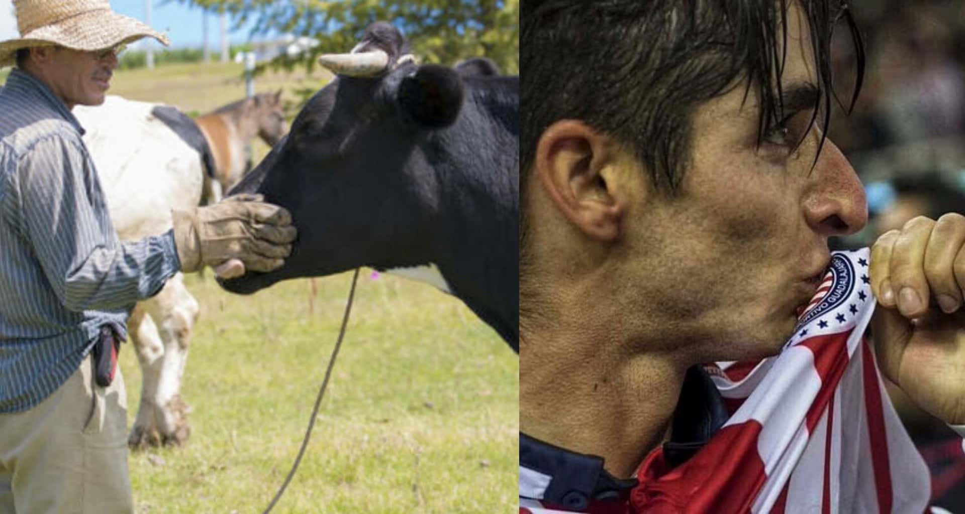 Representación del cuidado de vacas / Jugador de Chivas (Fuente: IMAGO7)