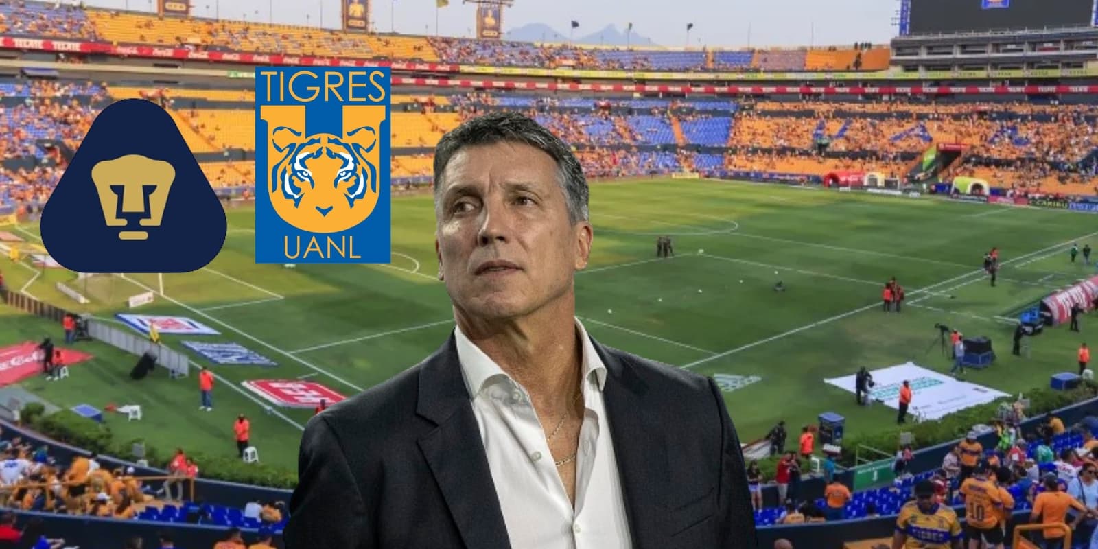 Siboldi en Nuevo León
