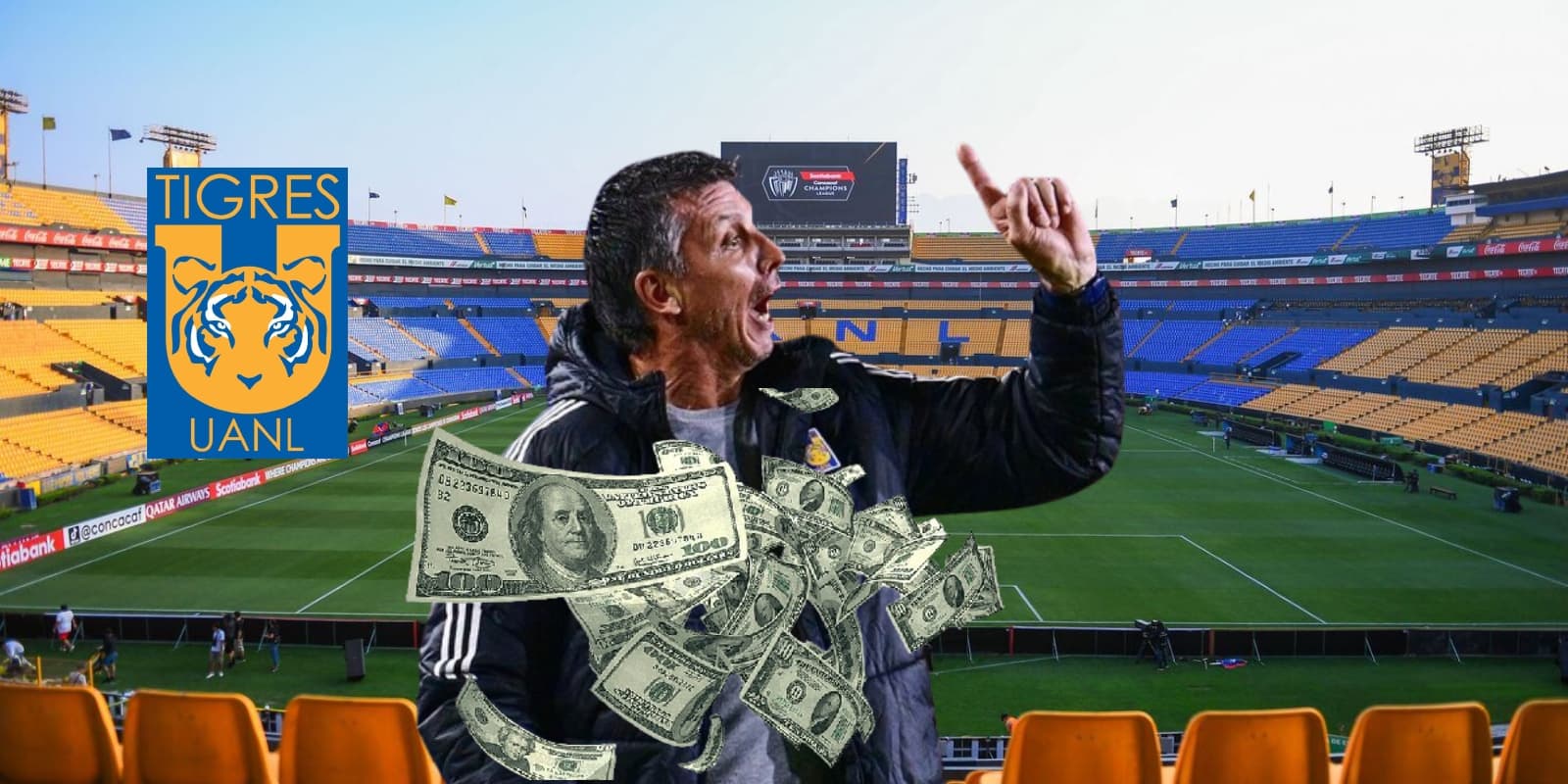 Siboldi en Nuevo León