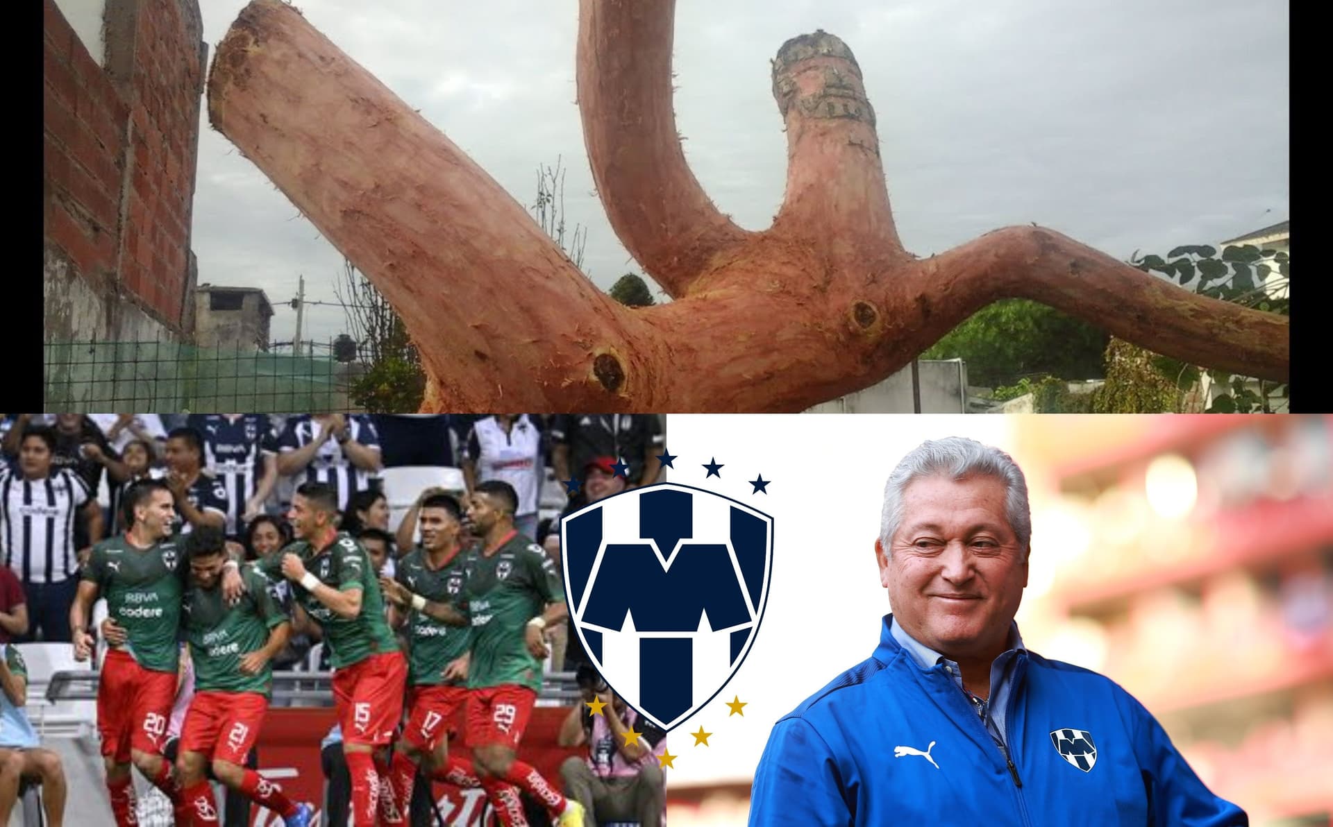 Sin duda ha subido mucho su nivel en el fútbol