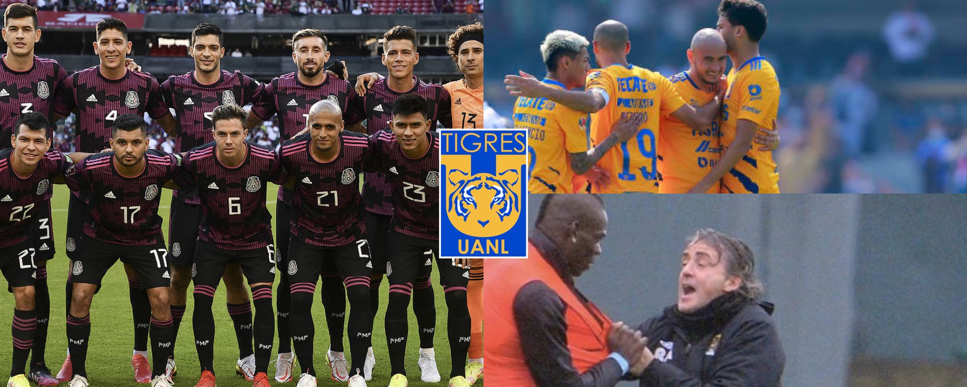 Son varios jugadores que están vetados de la Selección Mexicana y uno de ellos reforzaría a Tigres.