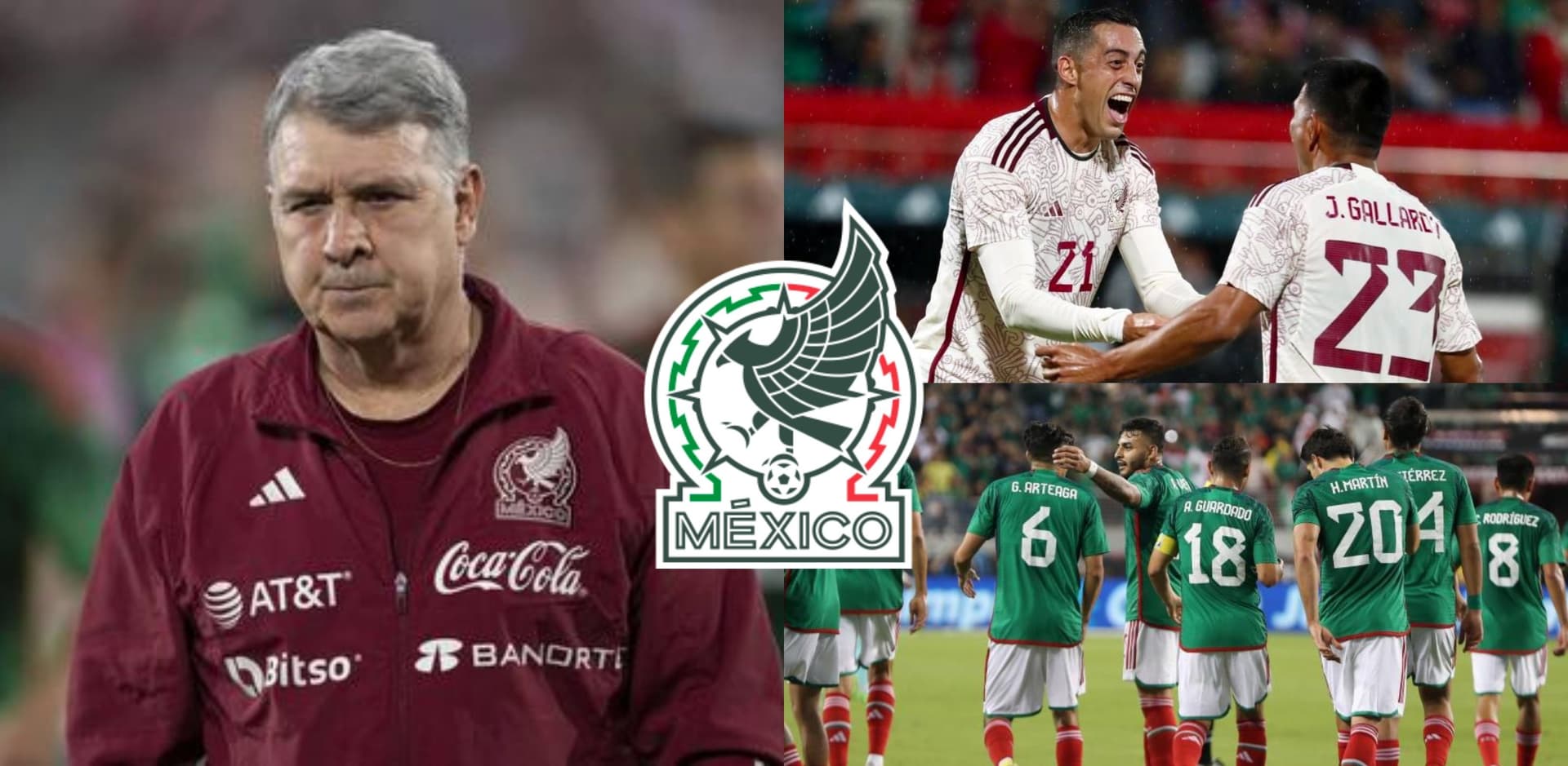 Tenía mucho talento para aportar en la Copa Mundial, pero no lo consideraron