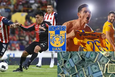 Tigres abriría una vez más la cartera para contratar a un talentoso mexicano.