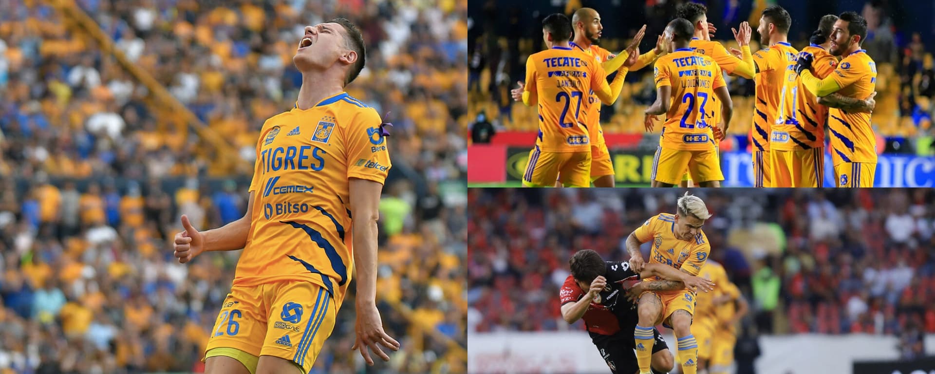 Tigres cerró el torneo regular con muchas dudas de cara a la liguilla