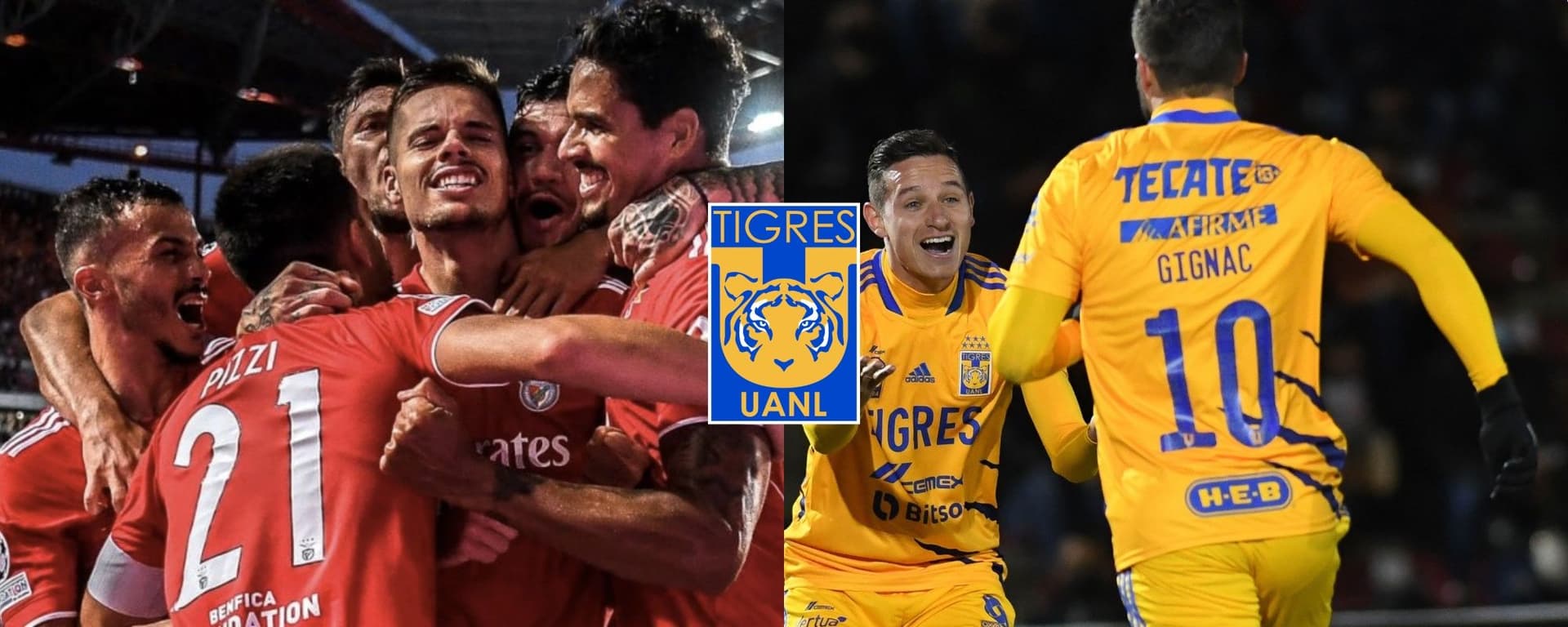 Tigres compite de manera férrea con el Benfica para hacerse de los servicios de un jugador.