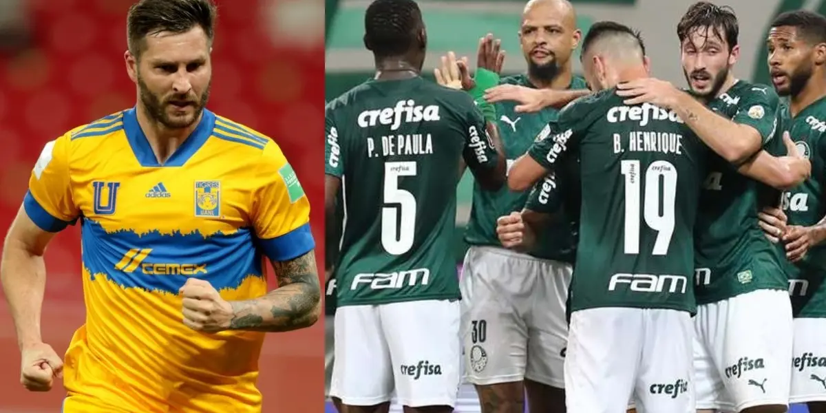 Tigres enfrenta a Palmeiras y así consideran al cuadro mexicano y su delantero André Gignac.
