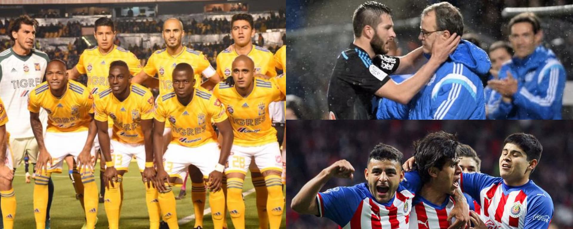 Tigres estaría dispuesto a dejar ir a tres elementos con el nuevo técnico del Rebaño.