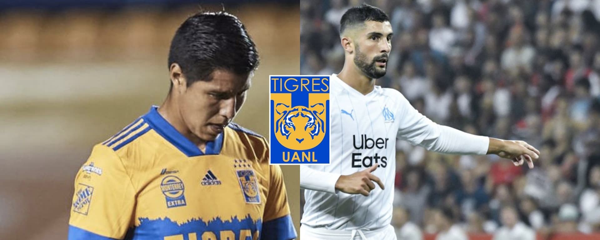 Tigres estaría fichando a un defensor desde el fútbol europeo y Hugo Ayala tomaría una decisión sobre su futuro.