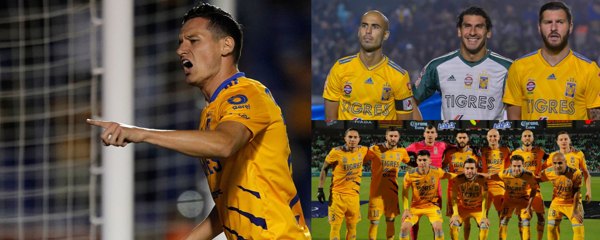Tigres ha establecido de manera muy marcada quiénes son sus intocables en el equipo.