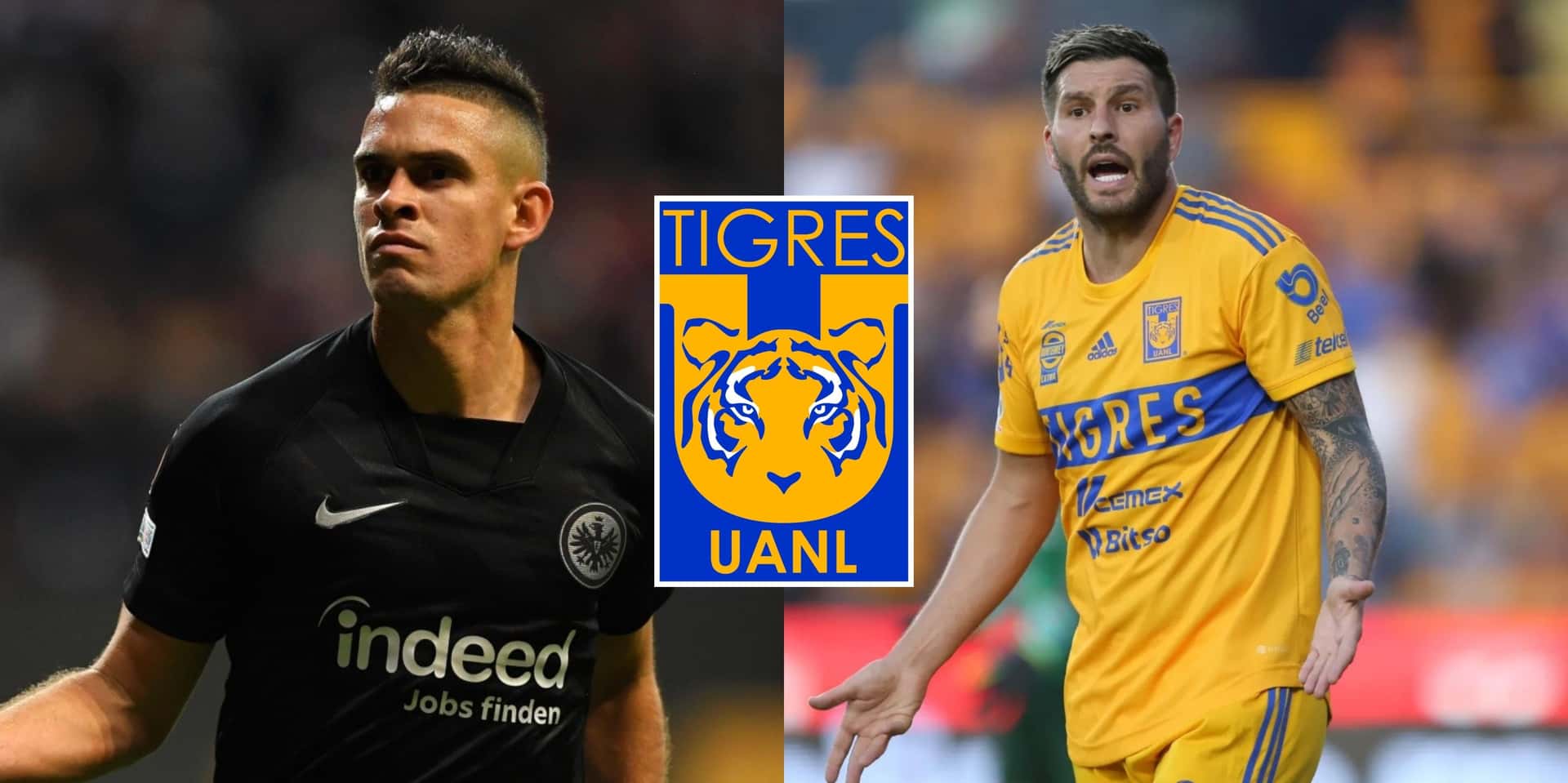 Tigres iría con todo por el cafetalero, por lo que Gignac ya hizo su respuesta