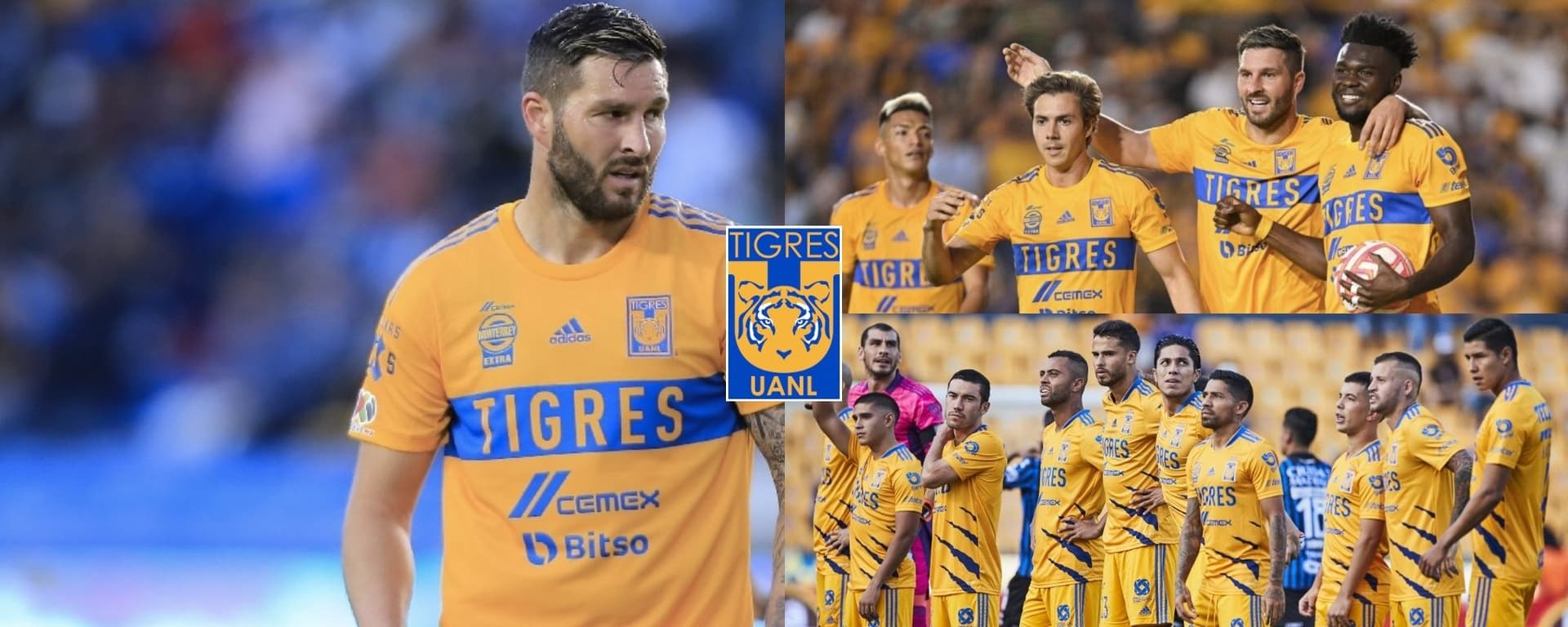 Tigres sacaría del club a dos jugadores que pudieron dar más pero salen por André-Pierre Gignac.