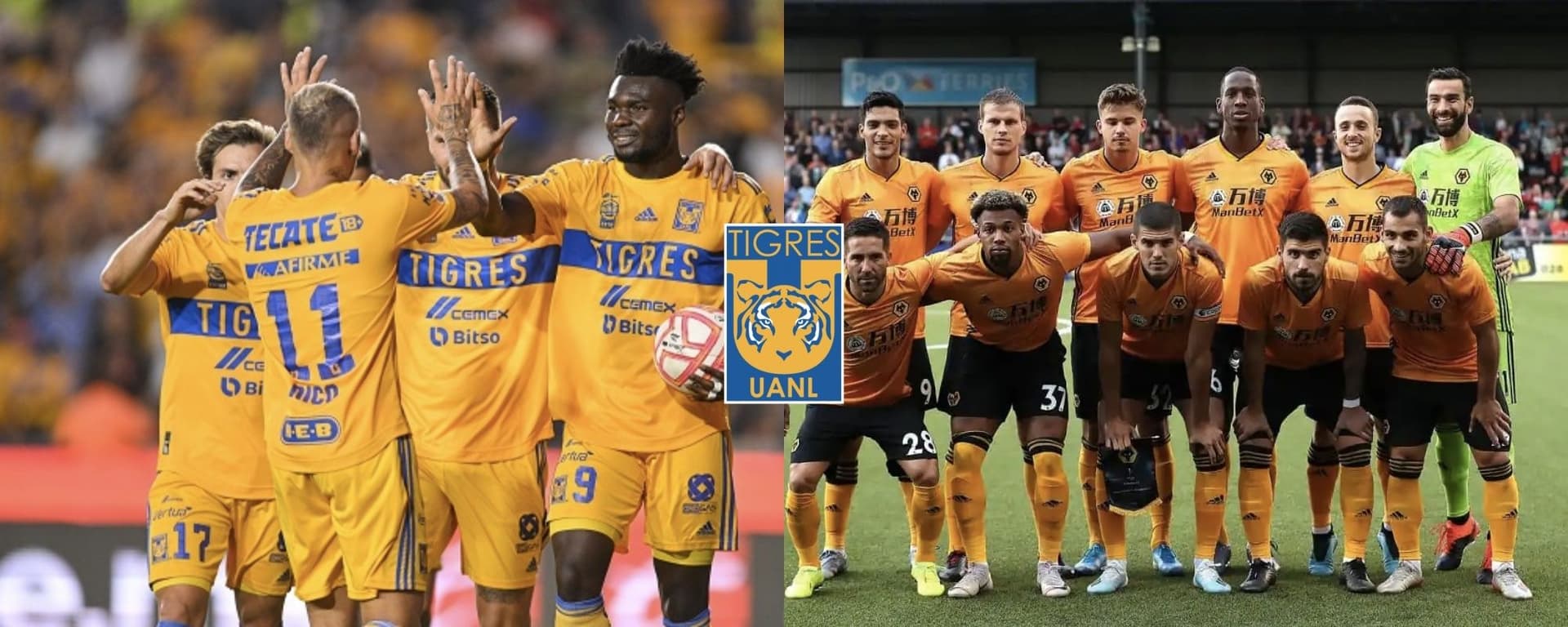 Tigres tendría nuevo delantero para el próximo torneo gracias al Wolverhampton.