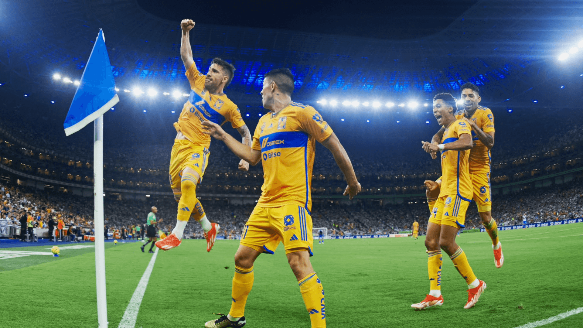 Tigres UANL en el Apertura 2024. | Foto: @TigresOficial