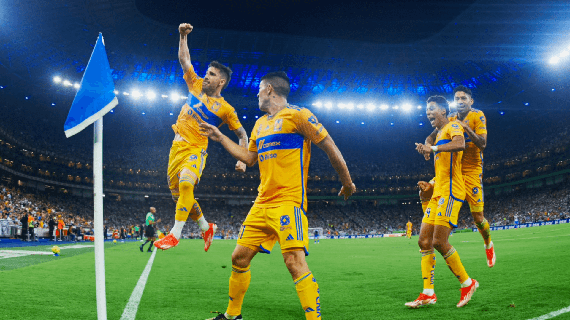 Tigres UANL en el Apertura 2024 | Foto: @TigresOficial