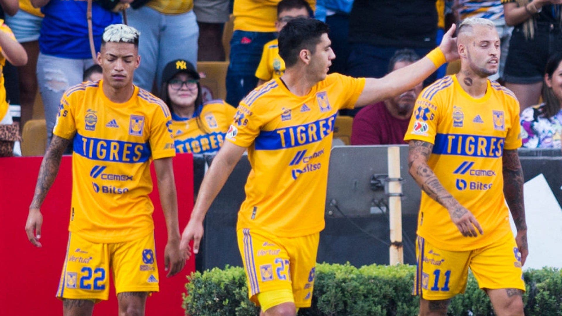Tigres visitará a los Gallos Blancos