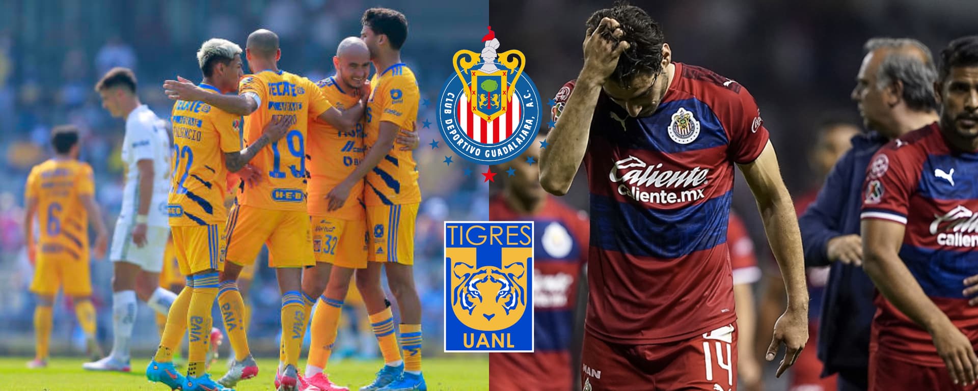 Un crack de Tigres podría ser refuerzo del Rebaño sin dejarle ganancias al club.