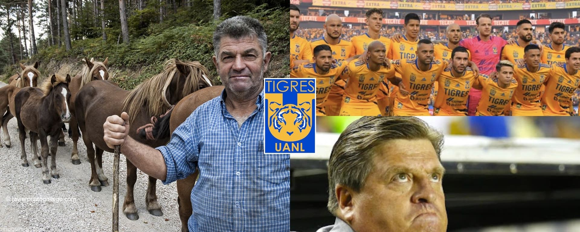 Un elemento de Tigres no volvería a ser titular y ahora se dedicaría a la ganadería.