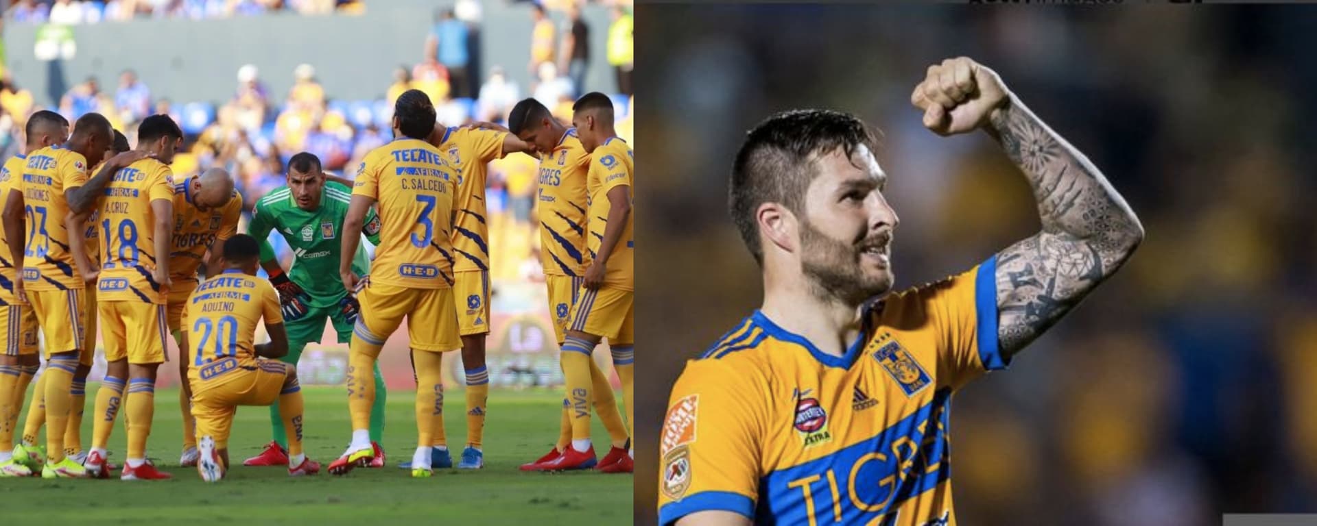 Un jugador de Tigres terminó siendo el mejor de la Liga MX en su posición a pesar de que aficionados y periodistas ya lo veían más cerca del retiro.