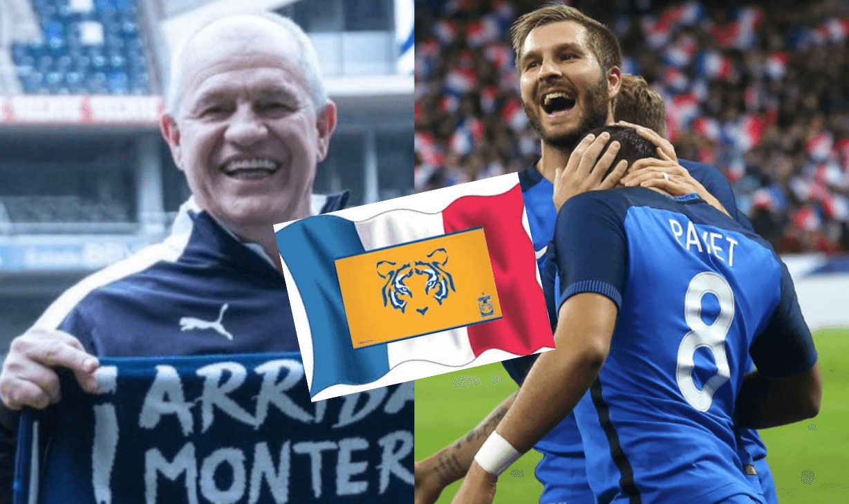 Un nuevo elemento del futbol de Francia se podría incorporar a Tigres