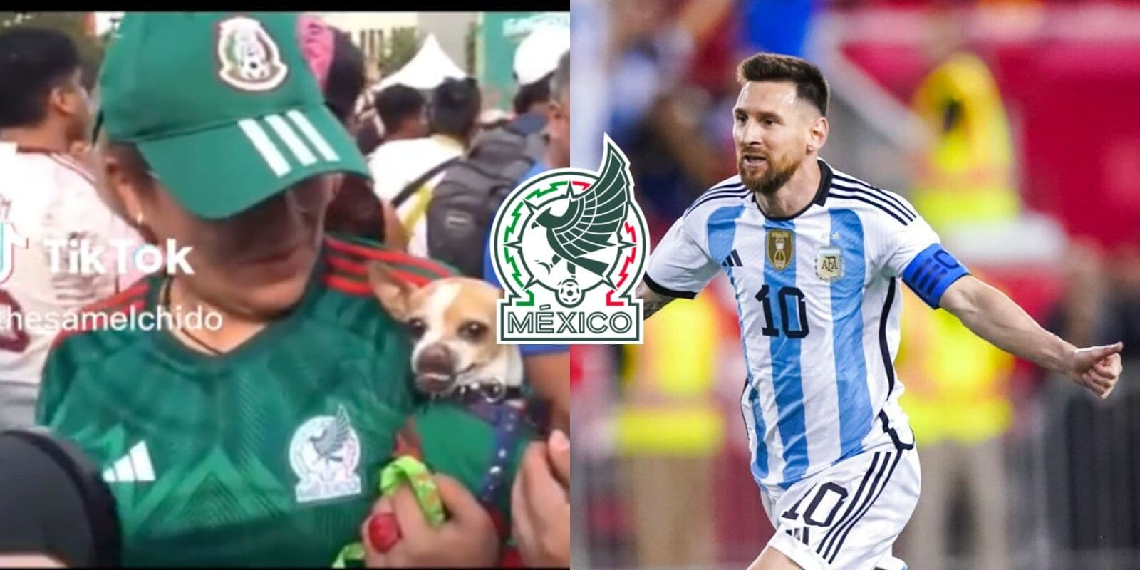 Un perrito mexicano escucha el nombre de Messi, su reacción ha dado la vuelta al mundo