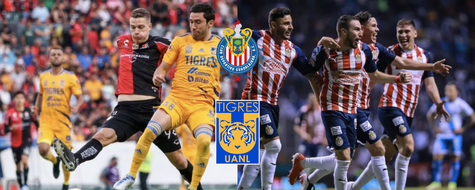 Uno de los jugadores de Tigres tiene posibilidad de ser refuerzo del Rebaño para el siguiente torneo.