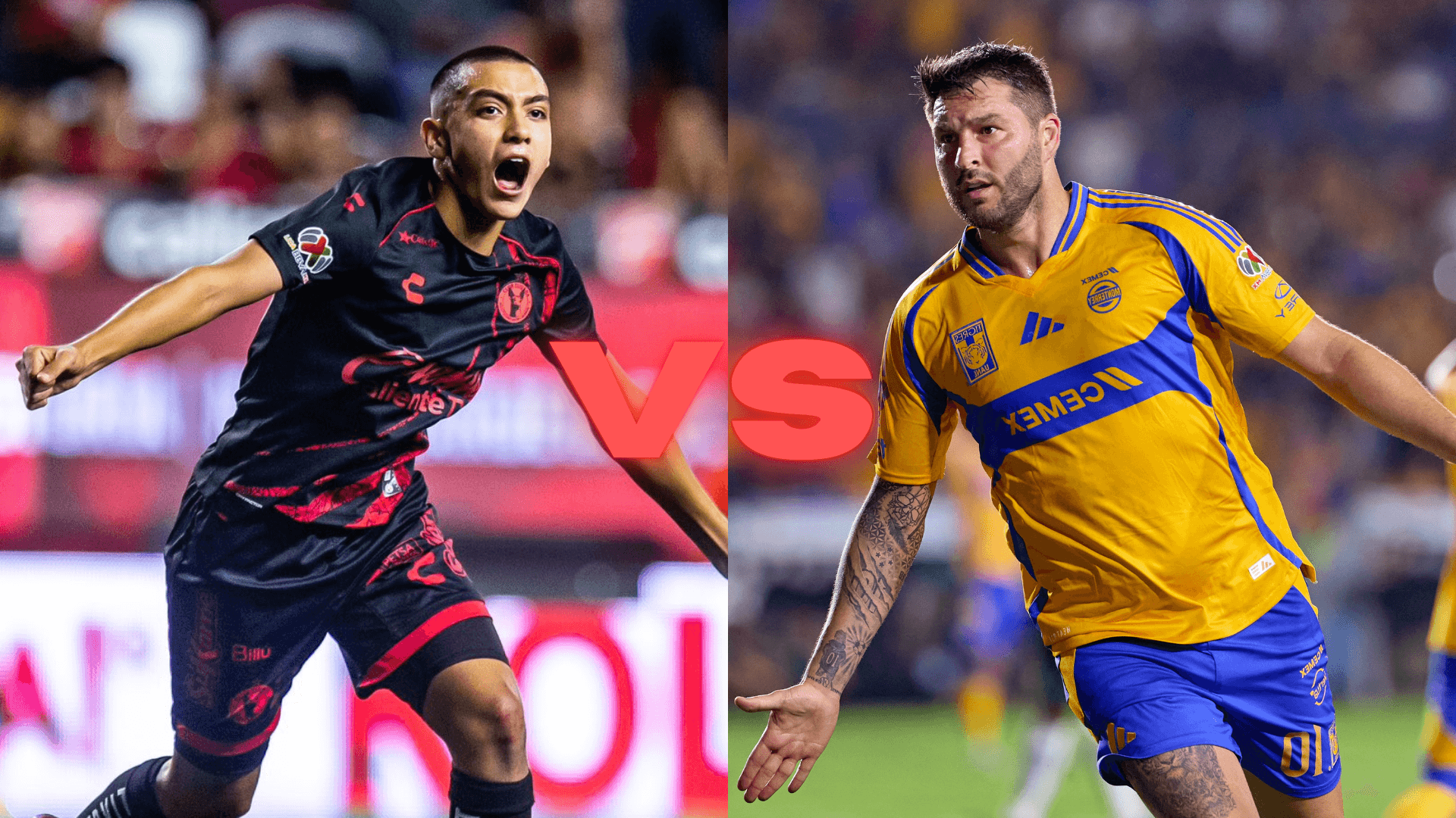 Xolos recibirán a los Tigres para la J15. | Foto: Mex Sport y X oficial de @Xolos