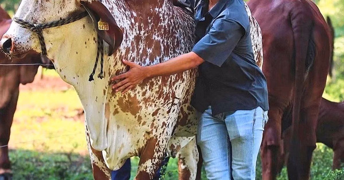 Diego Lainez en redes.