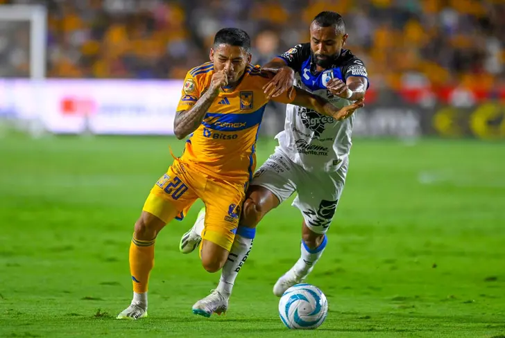 Los felinos visitarán a los Gallos Blancos 