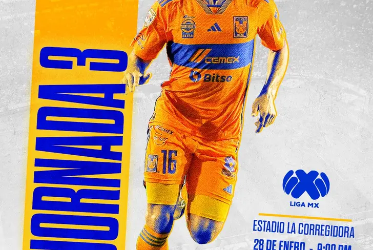 Tigres va por el triunfo 