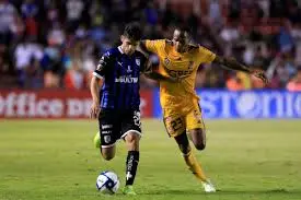 Gallos quiere dar la campanada 